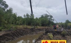 Agus Bantah Rusak Mangrove dan Keterlibatan Oknum Anggota DPRD di Setabu