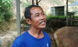 Petani Polisikan Pengusaha Samarinda Gegara Hutang Bayar Sapi Senilai Rp839 Juta