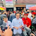 Respons Jokowi Soal Usulan Penghapusan Jabatan Gubernur