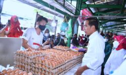 Cek Harga Pangan di Pasar Tenguyun Kota Tarakan, Ini Kata Presiden Jokowi