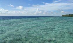 Investor Pariwisata Diarahkan ke Kepulauan Derawan