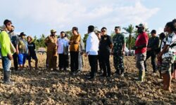 Ditinjau Jokowi, Pemerintah Siapkan 10.000 Ha Lumbung Pangan di Keerom Papua
