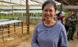 Cerita Warga Ibu Kota Nusantara Beromzet Hingga Rp 4 Juta dari Pelatihan Hidroponik
