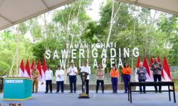 Instruksi Jokowi Perusahaan Tambang Mesti Tiru PT Vale Indonesia Perbaiki Lingkungan