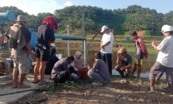 Kolam Limbah PT NBS Diduga Jebol, Air Sungai Sebuku Tercemar