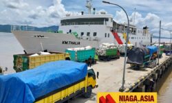 Oknum Pedagang Monopoli Truk, Ratusan Karung Rumput Laut Gagal Dikirim ke Sulsel