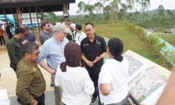 Seiring Pembangunan IKN, Pemerintah Lakukan Pemulihan Lingkungan