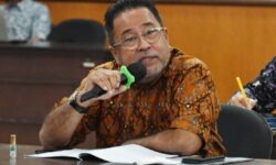 Rano Karno Minta Pemerintah Buka Formasi Tenaga Pustakawan