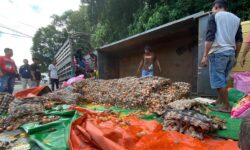 Truk Sembako Dari Parepare Terguling di Pelabuhan Semayang Balikpapan