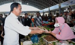 Secara Umum Harga Bahan Pokok Turun