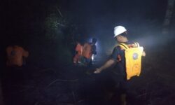 Tiga Hari, 15 Hektar Lahan Perkebunan Warga Terbakar di Nunukan