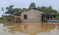 Alih Fungsi Hutan Meningkatkan Intensitas Banjir Sembakung 