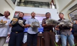 Pengedar Sabu ke Pekerja IKN Ditangkap BNN