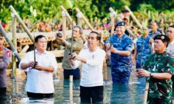 Presiden Jokowi Tekankan Pentingnya Jaga Hutan Mangrove
