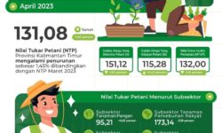 April 2023, NTP Kaltim di 4 Subsektor Naik dan Satu Turun