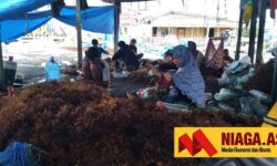 Ekspor Rumput laut Melambat, Pertumbuhan Lapangan Usaha Pertanian Kaltara Anjlok