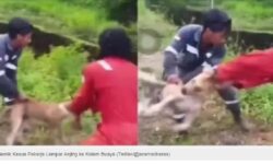 Pelempar Anjing Hidup ke Buaya di Nunukan Buruh PT Jaya Ministry Lestari