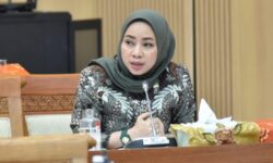 Ratna Juwita Sari: Pemberian Subsidi & Insentif Pajak Kendaraan Listrik Tidak Efektif