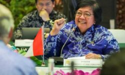 Upaya Indonesia Menekan Deforestasi Jadi Perhatian Global