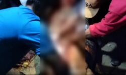 Subli Ditemukan Tewas di Perut Buaya di Kutai Timur