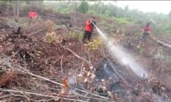 Karhutla Hanguskan 8 Hektar Lahan di Palangkaraya