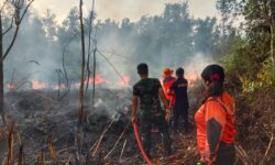 26 Ha Lahan di Kalteng Terbakar dalam Sehari