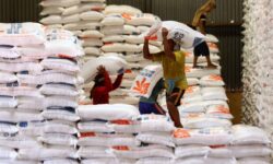 Cadangan Beras Di Bulog Capai 607.655 Ton