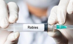 Lebih 100 Orang di Samarinda Tergigit Hewan Diduga Rabies