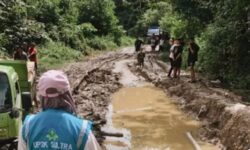 Srikandi PLN Sukses Salurkan Listrik ke Daerah 3T di Sulawesi