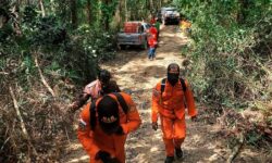 Pekerja PT IHM Hilang di Hutan Loa Kulu
