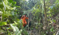 Hilangnya Slamet di Hutan Loa Kulu Masih Misterius