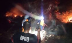 12 Hektare Gambut di Penajam Paser Utara Hangus Terbakar