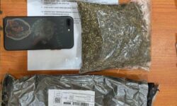Peredaran Ganja di Ruko Pelangi Digagalkan