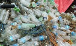 Petani Rumput Laut Nunukan Hasilkan Sampah Botol Plastik Terbanyak di Indonesia