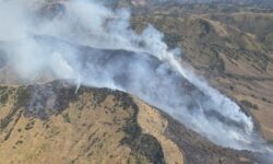 Kebakaran Hutan Gunung Bromo, BNPB: Denda untuk Pelaku Masih Kurang