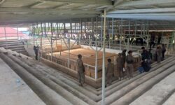 Pemerintah Bongkar Arena Judi Sabung Ayam di Balikpapan Timur