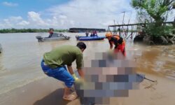 Kru Tongkang Sumber Kapuas 211 Ditemukan Meninggal di Perairan Mahakam