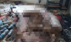 Cerita Pekerja Bangunan di Balikpapan Temukan Tengkorak Manusia di Rumah Kosong