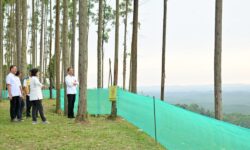 Suasana Pagi Hari, Jokowi Tunjukkan Para Menteri Pemandangan IKN dari Atas Bukit