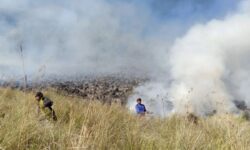 Kasus Karhutla Taman Nasional Bromo Diambilalih Polda Jatim