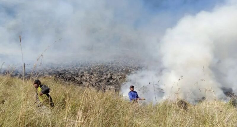 Dampak Krisis Iklim dan Kerusakan Lingkungan