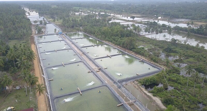 Skema Tebus Pupuk Berbasis KTP Permudah Petambak