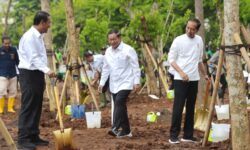 Menanam Pohon Demi Antisipasi Perubahan Iklim