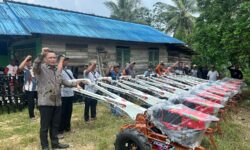 Enam Tahun Terakhir Indeks Harga yang Diterima Petani Kaltim Alami Kenaikan