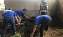 Pertamina Latih Kelompok KENARI Mengolah Limbah Pertanian Jadi Pupuk
