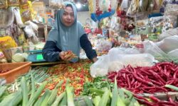 Harga Bahan Pokok di Balikpapan Mulai Naik, Cabai Rawit Tembus Rp 100 Ribu