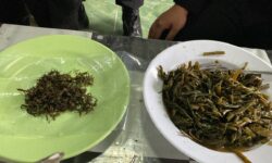 Ganja Campur Tumis Kangkung Gagal Diselundupkan ke Lapas Narkotika Samarinda