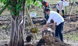 Menanam Pohon Tindakan Nyata Hadapi Perubahan Iklim