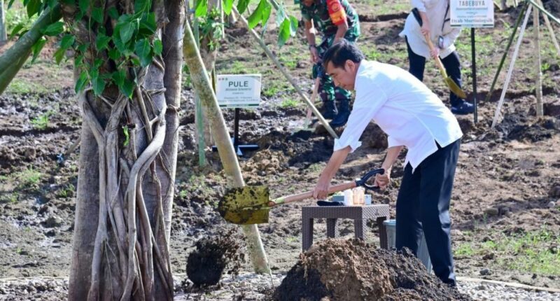 Menanam Pohon Tindakan Nyata Hadapi Perubahan Iklim