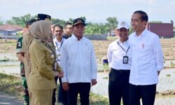 Pemerintah Siapkan Tambahan Subsidi Pupuk Demi Produktivitas Petani